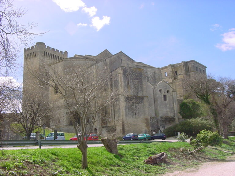 Abbaye Saint-Pierre de Montmajour